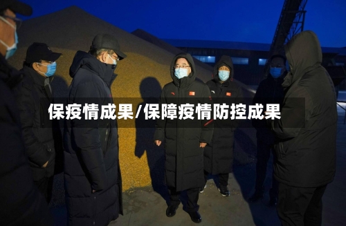 保疫情成果/保障疫情防控成果-第3张图片