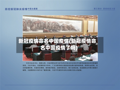 新冠疫情命名中国疫情(新冠疫情命名中国疫情了吗)-第2张图片