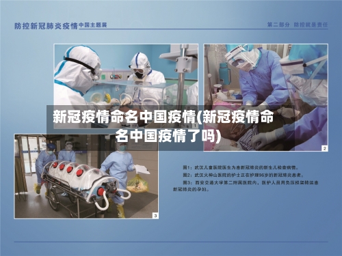 新冠疫情命名中国疫情(新冠疫情命名中国疫情了吗)-第1张图片
