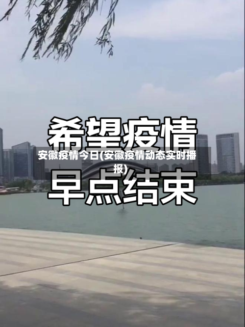 安徽疫情今日(安徽疫情动态实时播报)