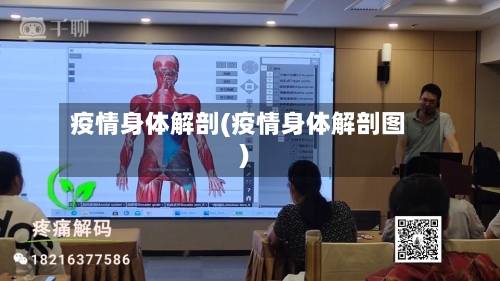 疫情身体解剖(疫情身体解剖图)-第1张图片