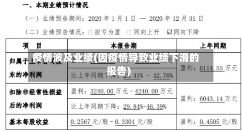 疫情波及业绩(因疫情导致业绩下滑的报告)-第1张图片