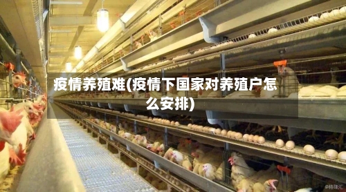 疫情养殖难(疫情下国家对养殖户怎么安排)-第1张图片