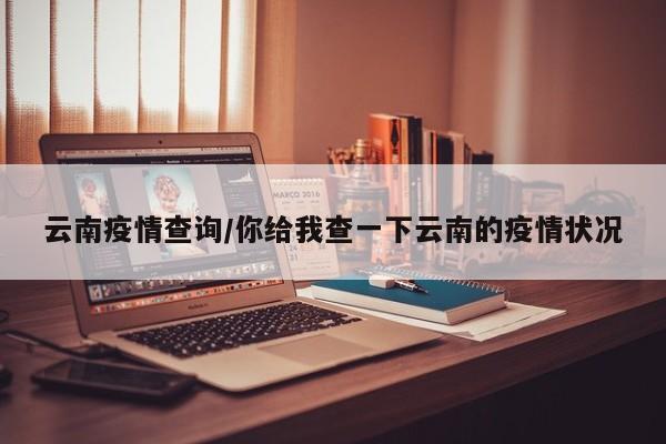 云南疫情查询/你给我查一下云南的疫情状况