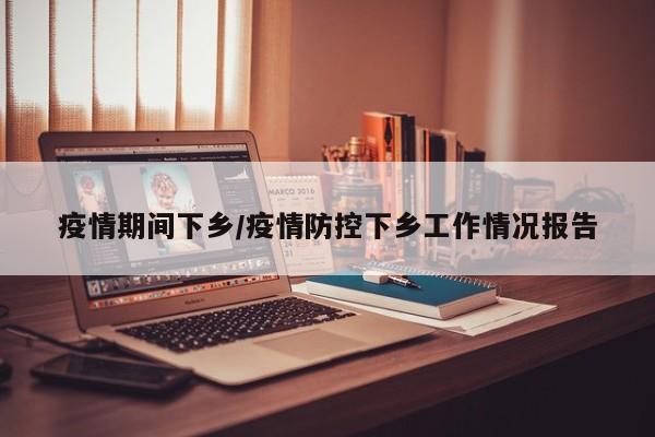 疫情期间下乡/疫情防控下乡工作情况报告