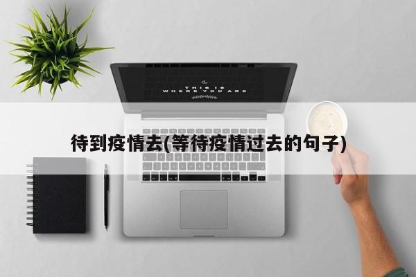 待到疫情去(等待疫情过去的句子)